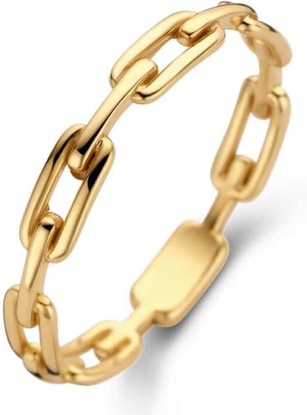 Jackie Baia Link ring van 14 karaat geelgoud